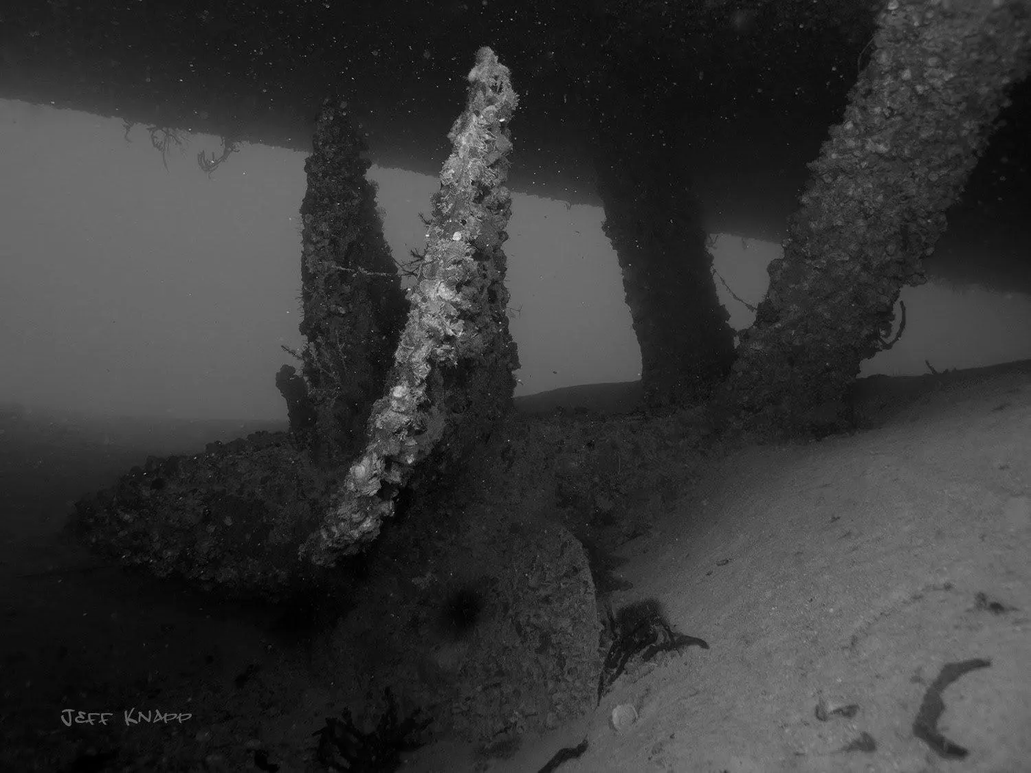 Underneath Spiegel Grove