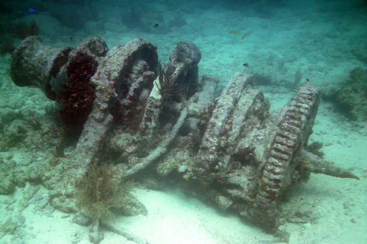 Molasses Reef
