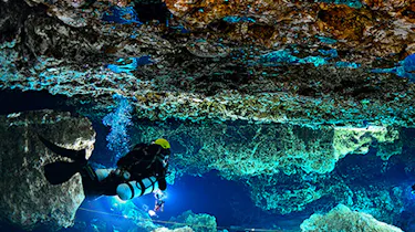 Devil’s Den, Blue Grotto, and Ginnie Springs