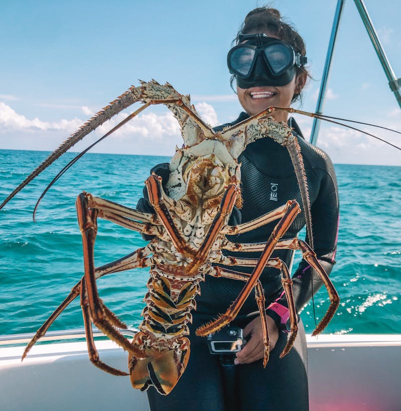 female diver with lobster