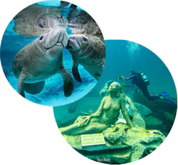 manatee and underwater mermaid statue