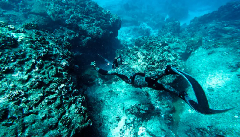 freediver looking under ledge