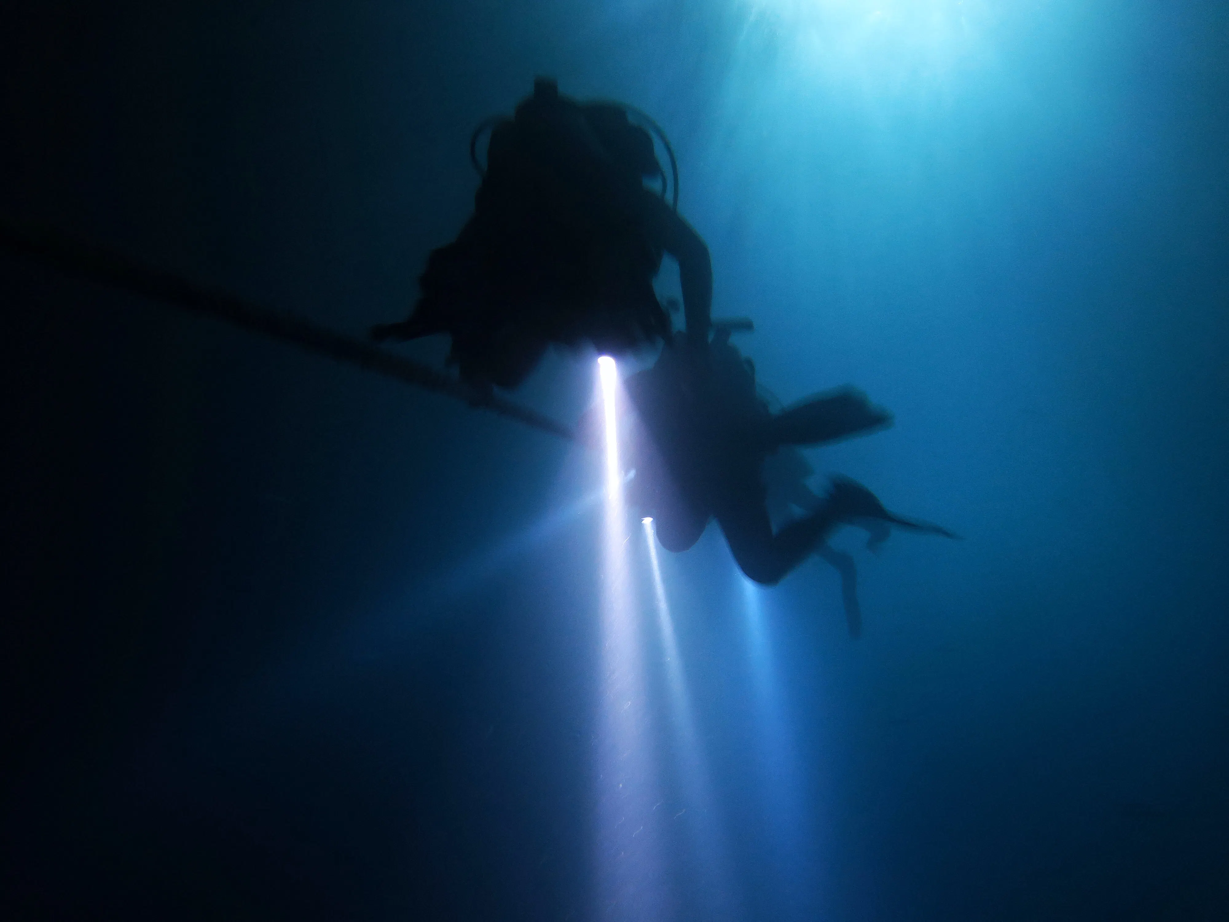 People scuba diving at night with flashlights.