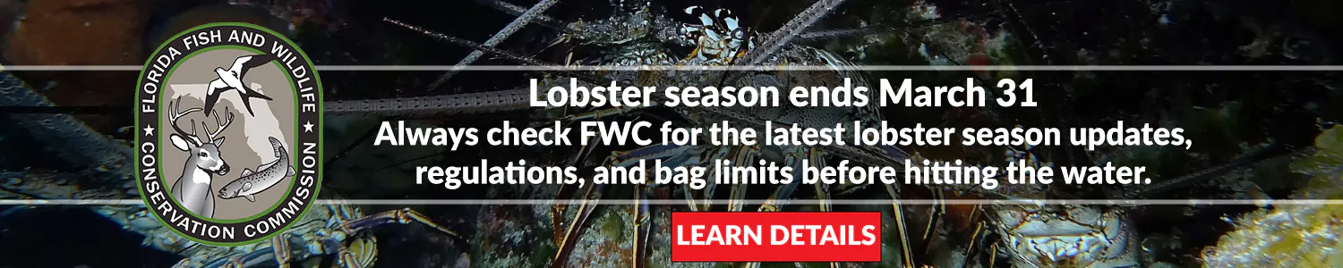 Lobster Season Ends March 31st. Always check FWCs page before hitting the water.