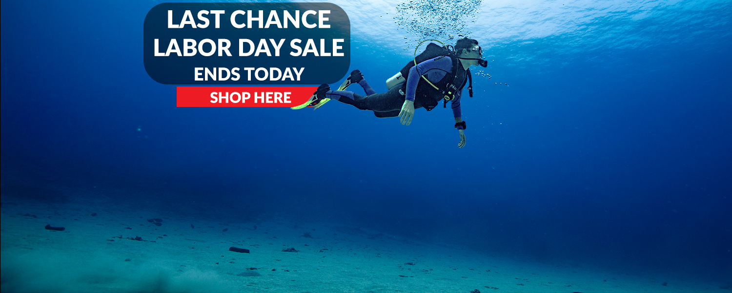 LAST CHANCE LABOR DAY SALE ENDS TODAY - Web banner 