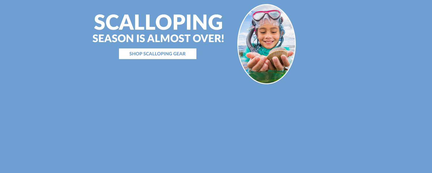 Scalloping Season is almost over - web banner 