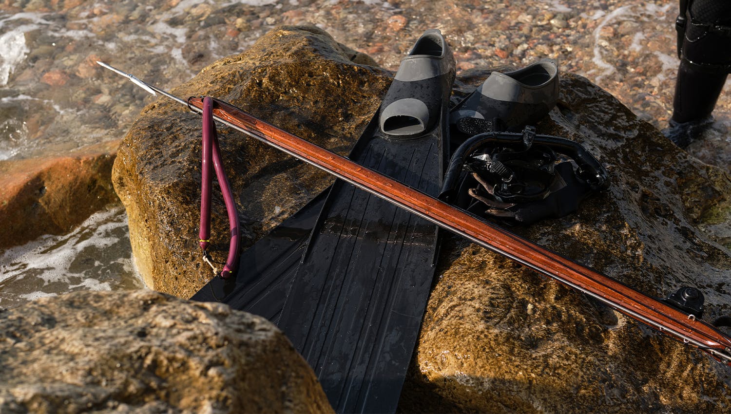 Speargun and fins