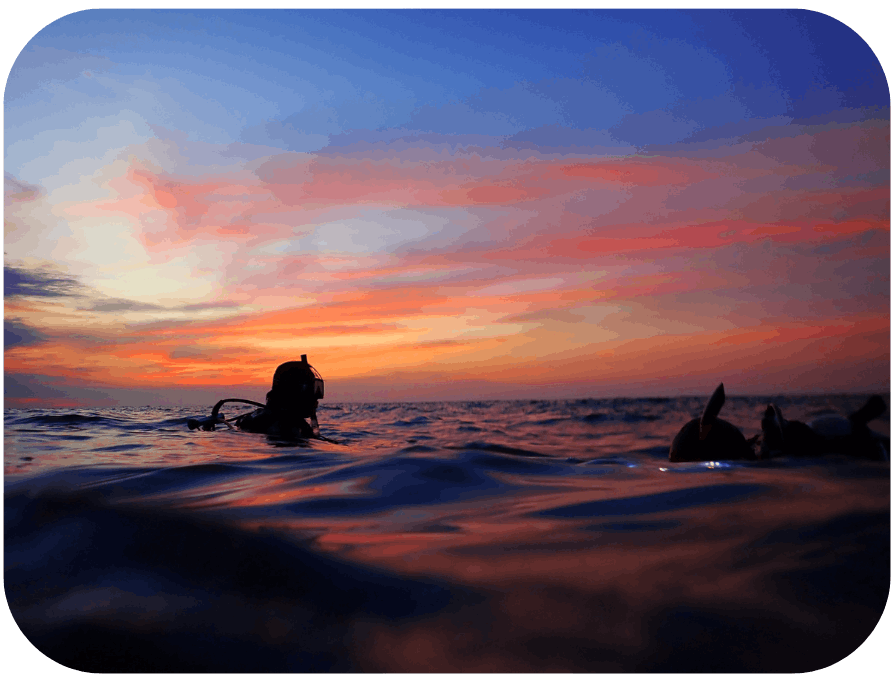 Divers in the ocean as the sun is setting.