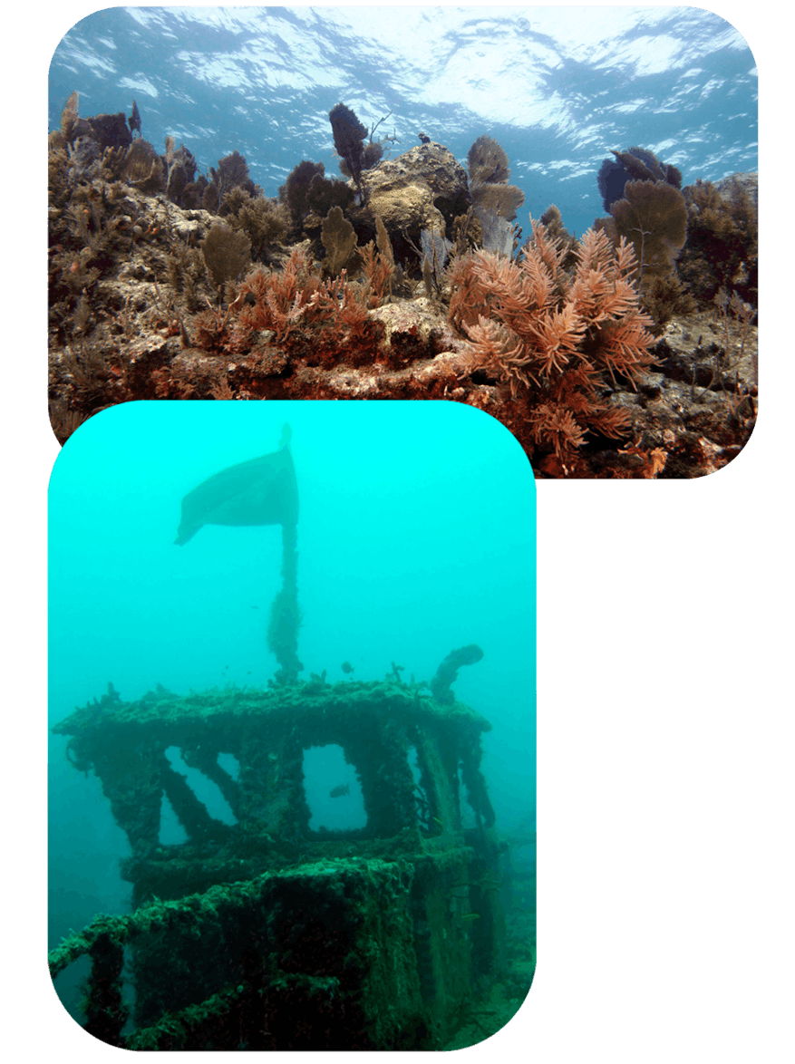 Collage of Molasses Reef in Key Largo and the Spiegel Grove Wreck