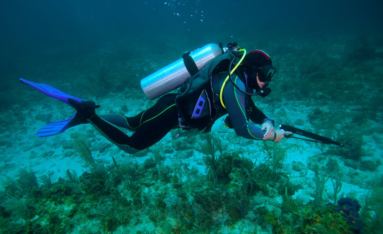 Scuba diving spearfishing