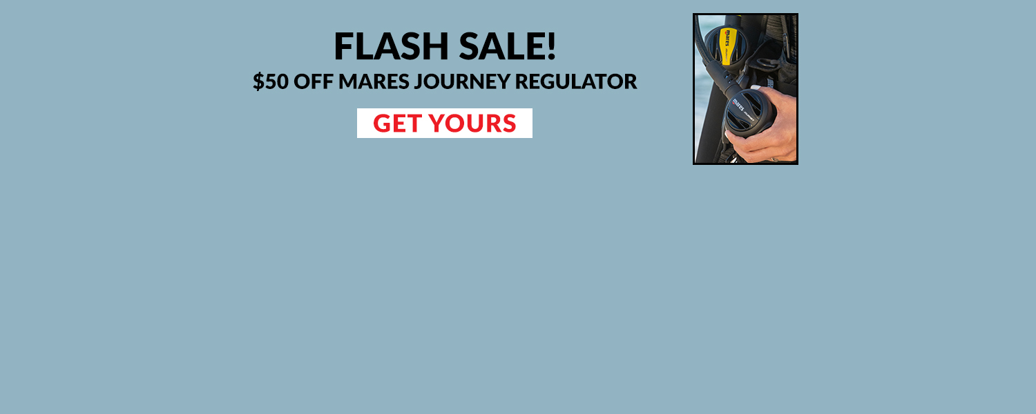 FSF Journey Regulator banner 