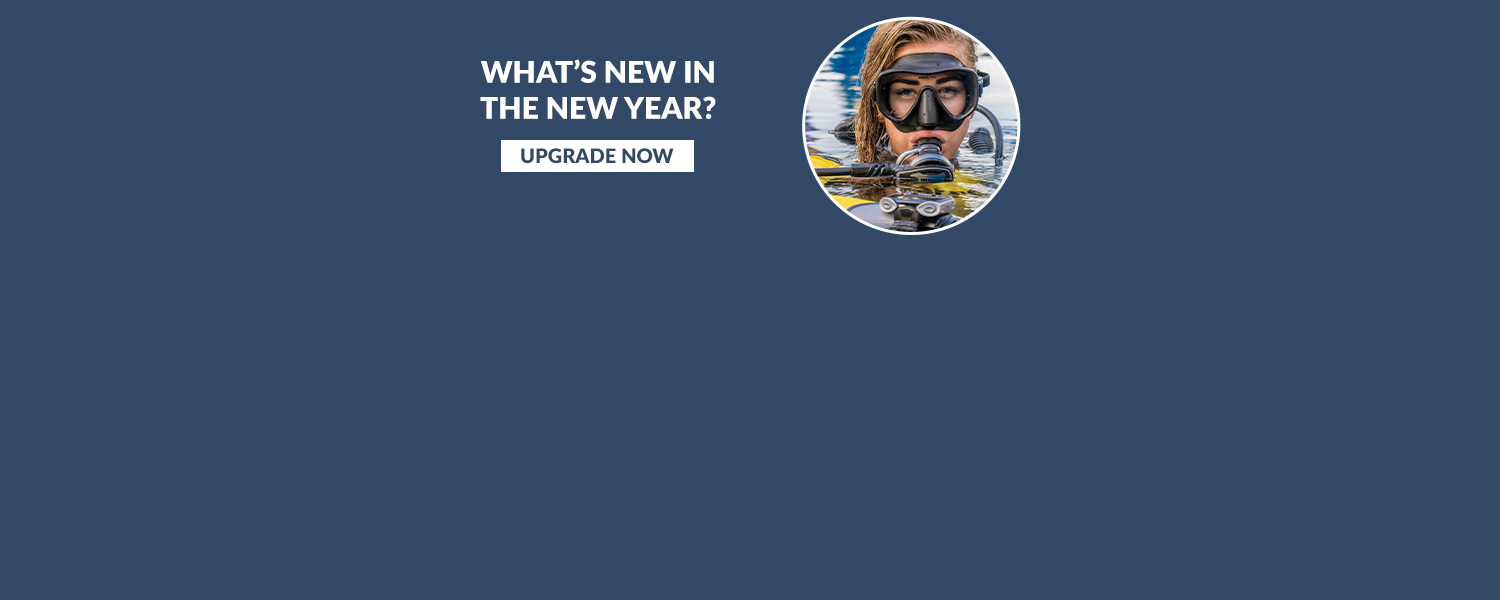 What's New in the New Year - Web 