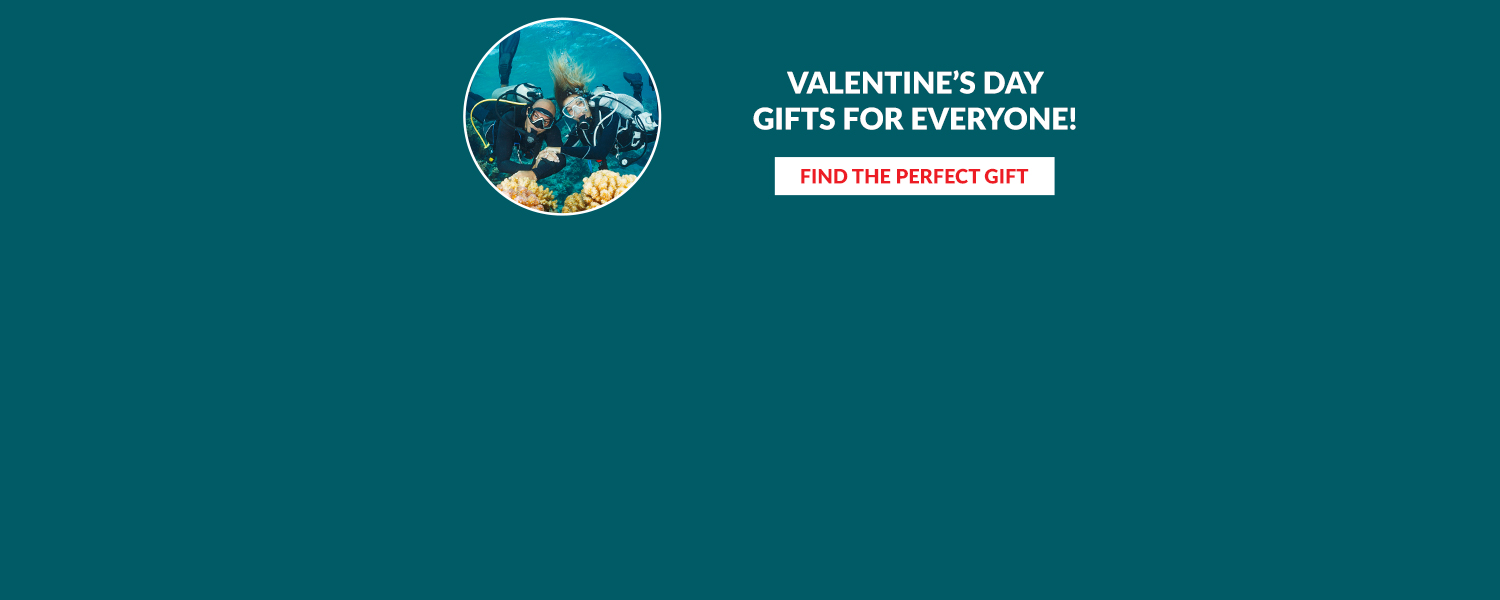 V-day Web banner 