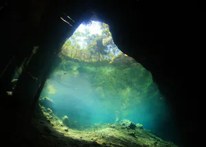 Ginnie Springs