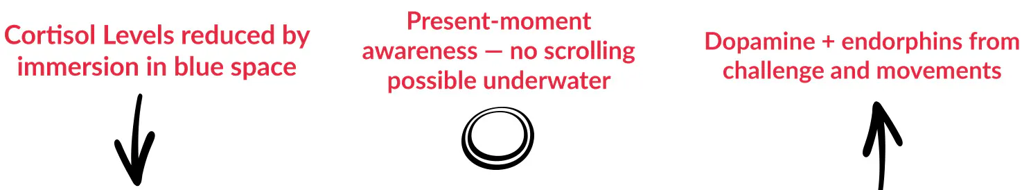 The Underwater Path to Inner Calm