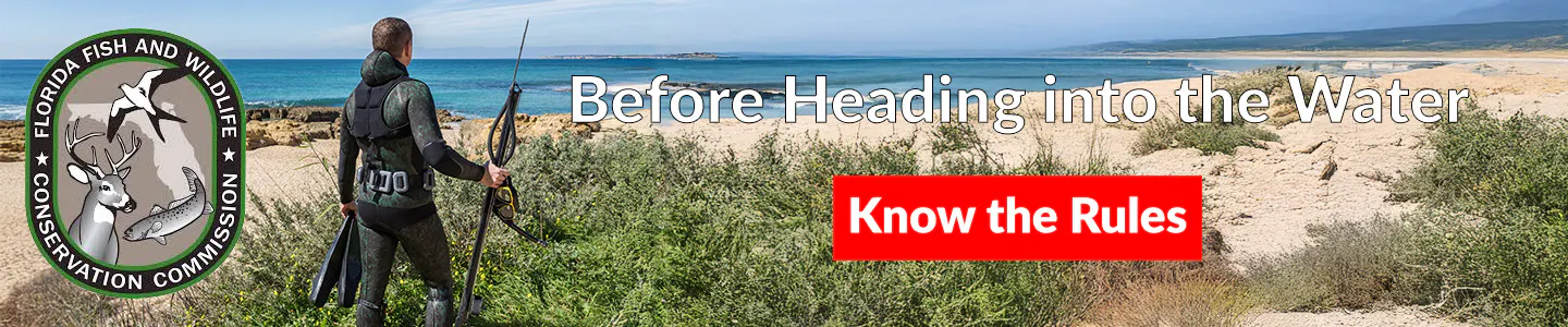 Grouper Season web banner 