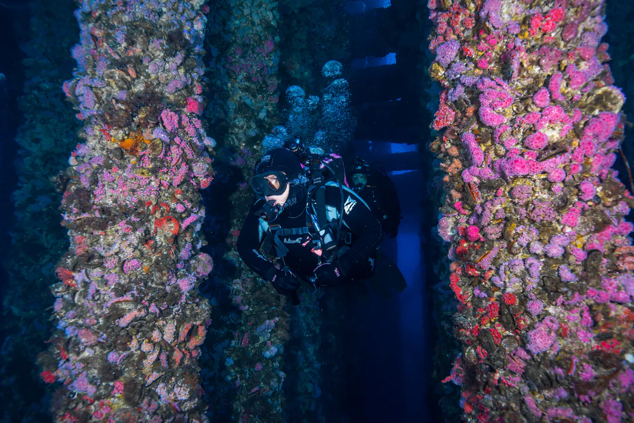 Scuba divers scuba diving through coral-covered columns underwater.