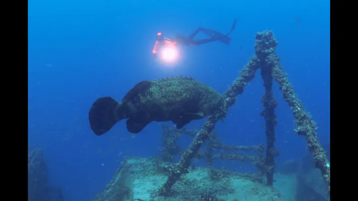 USS Spiegel Grove Wreck (LSD-32)
