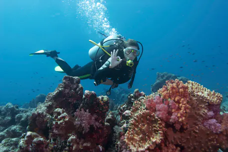 Scuba diver underwater