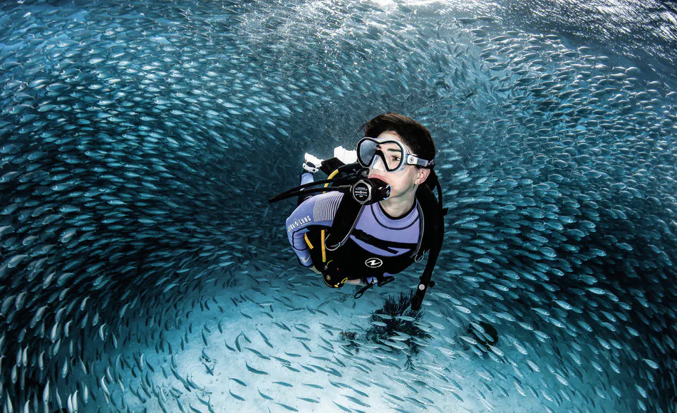 Scuba diver swimming through a bait ball