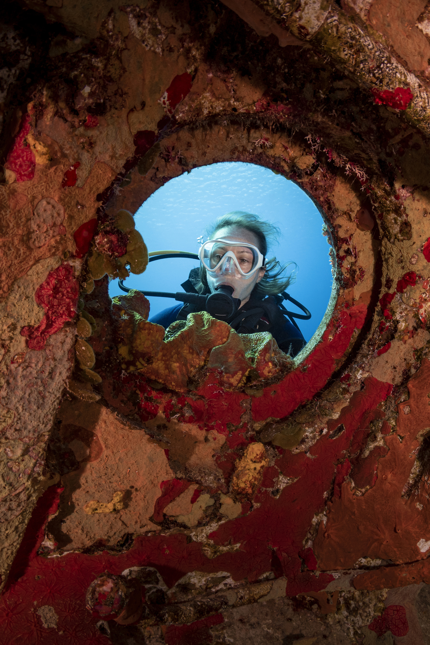 Memorial Day Dives: Historic Sunken Warships You Can Dive In Florida