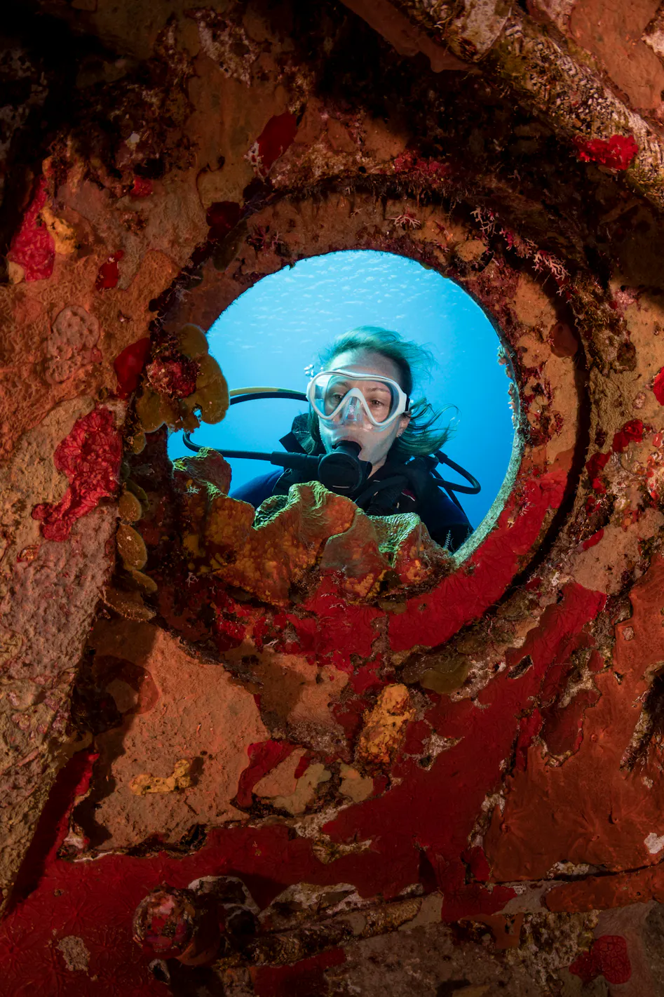 scuba diver looking inside a port hole underwater