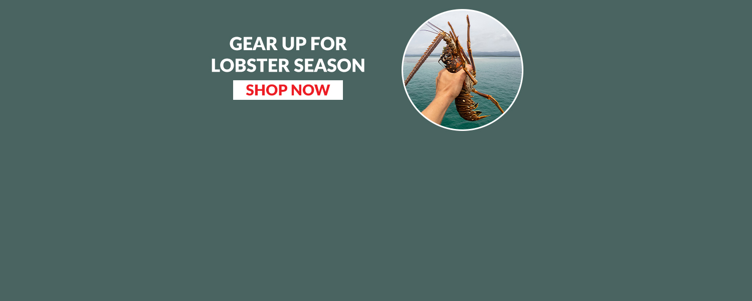 Gear up for Lobster Season. Hand holding Lobster with ocean in background. Web banner 