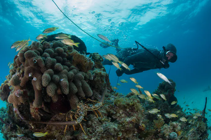 hookah diver
