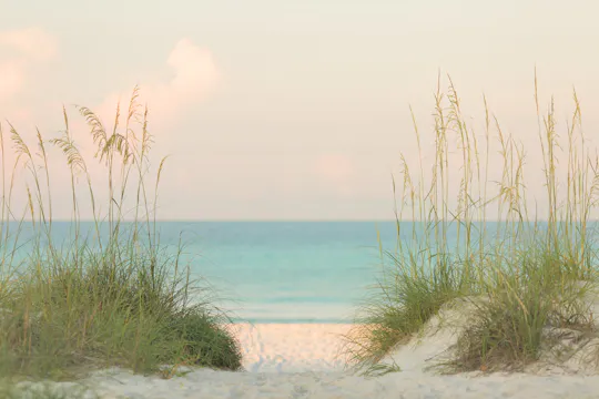 shoreline
