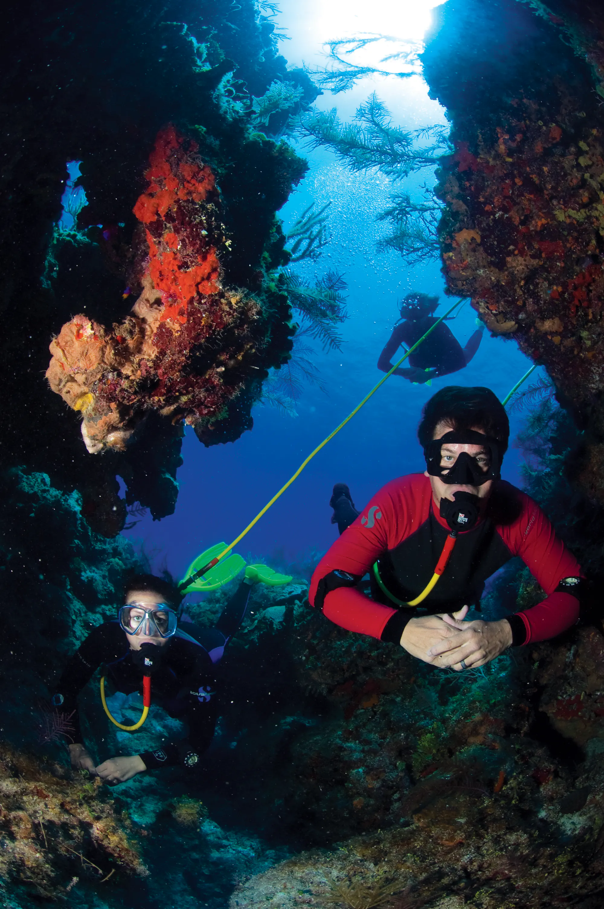 Picture of people diving at a reef underwater.