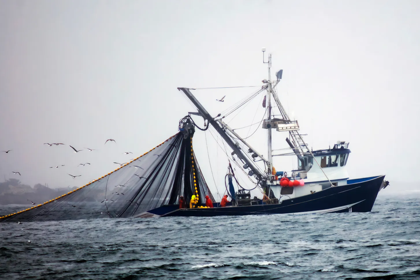 Fishing boat using a net to collect fish