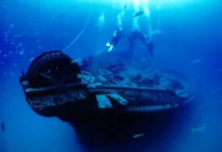 The Cayman Salvager