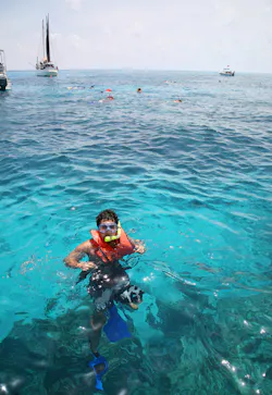 snorkeler in the ocean