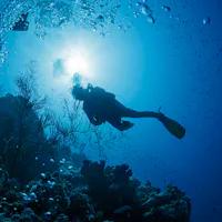 silhouette of scuba diver
