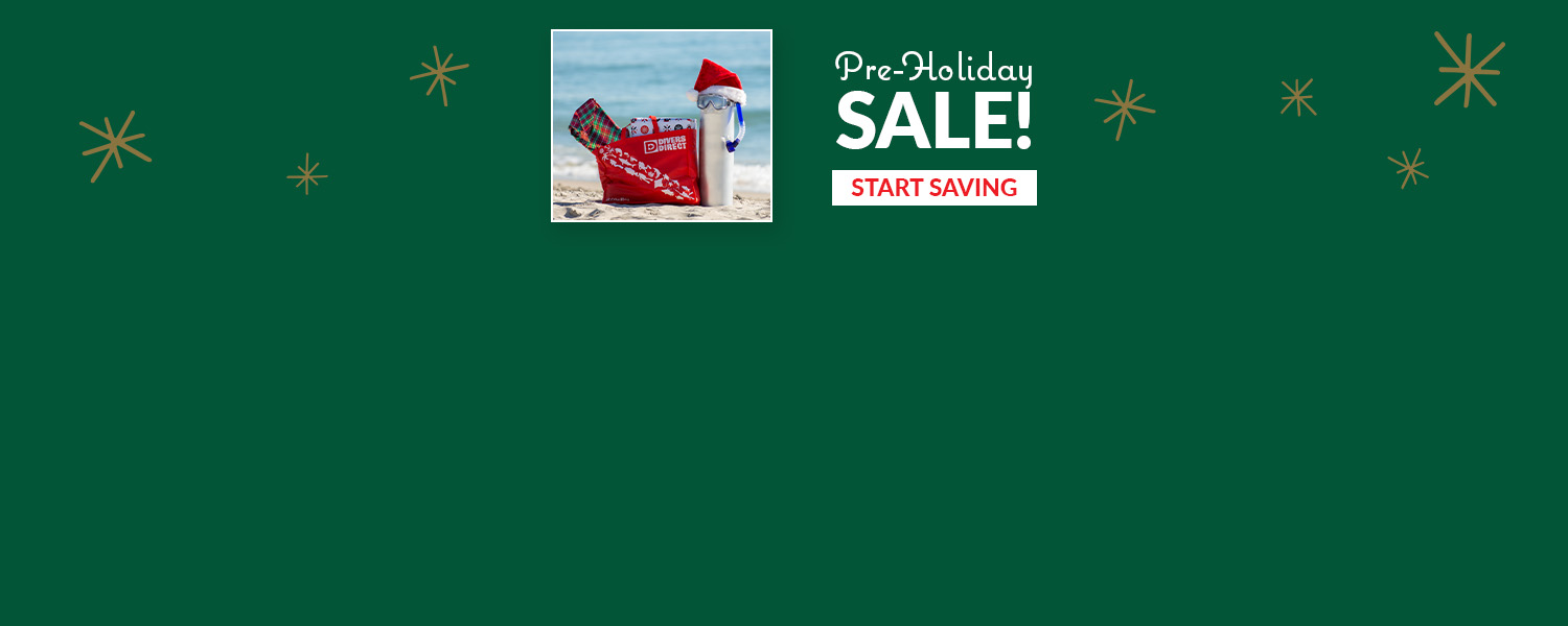 Pre-Holiday Sale Web Banner 