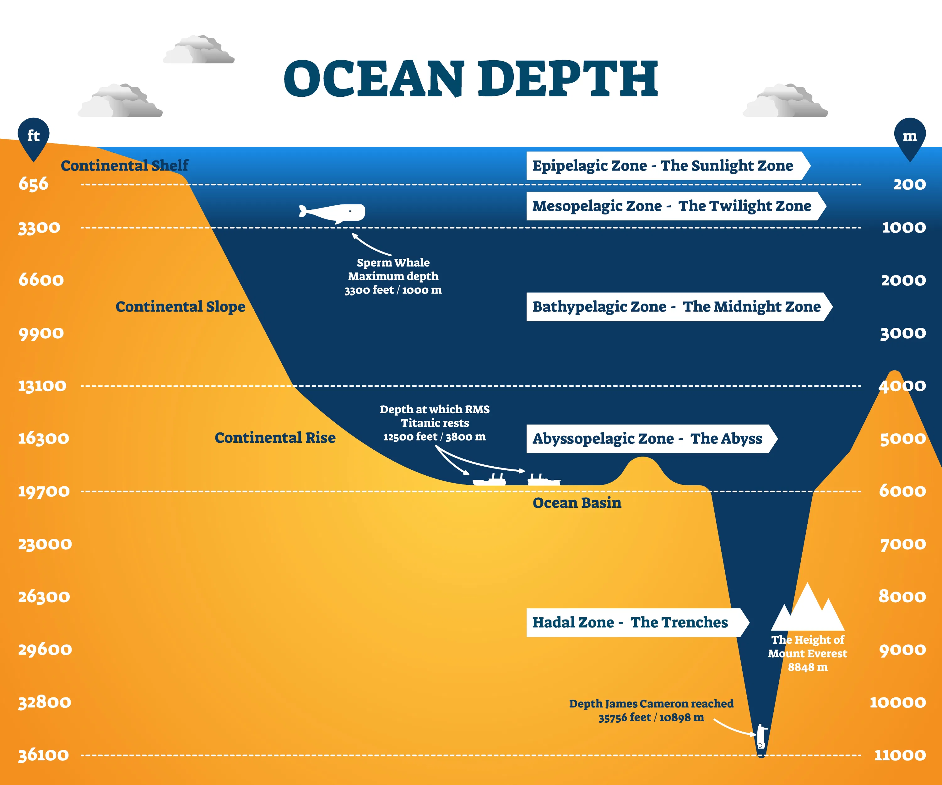 Image with labels showing the zones of the ocean.