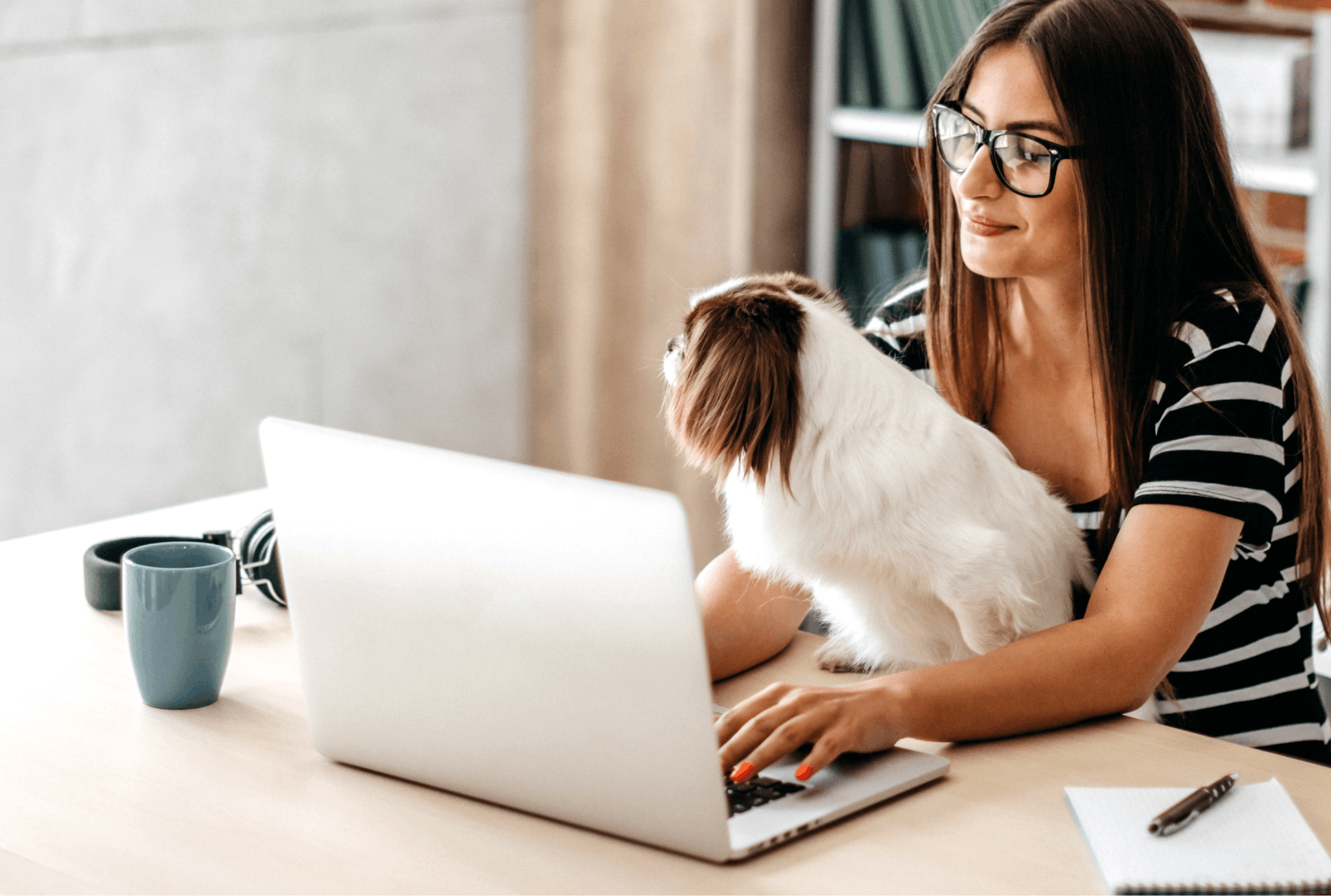 DiviPay Blog