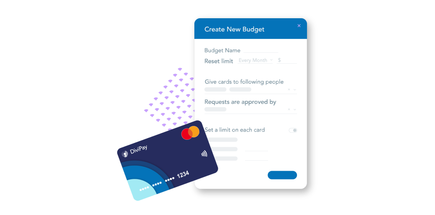 DiviPay Image