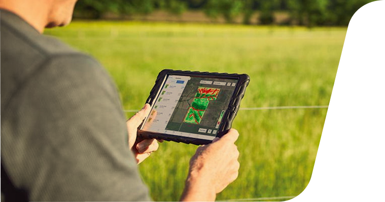 FieldView