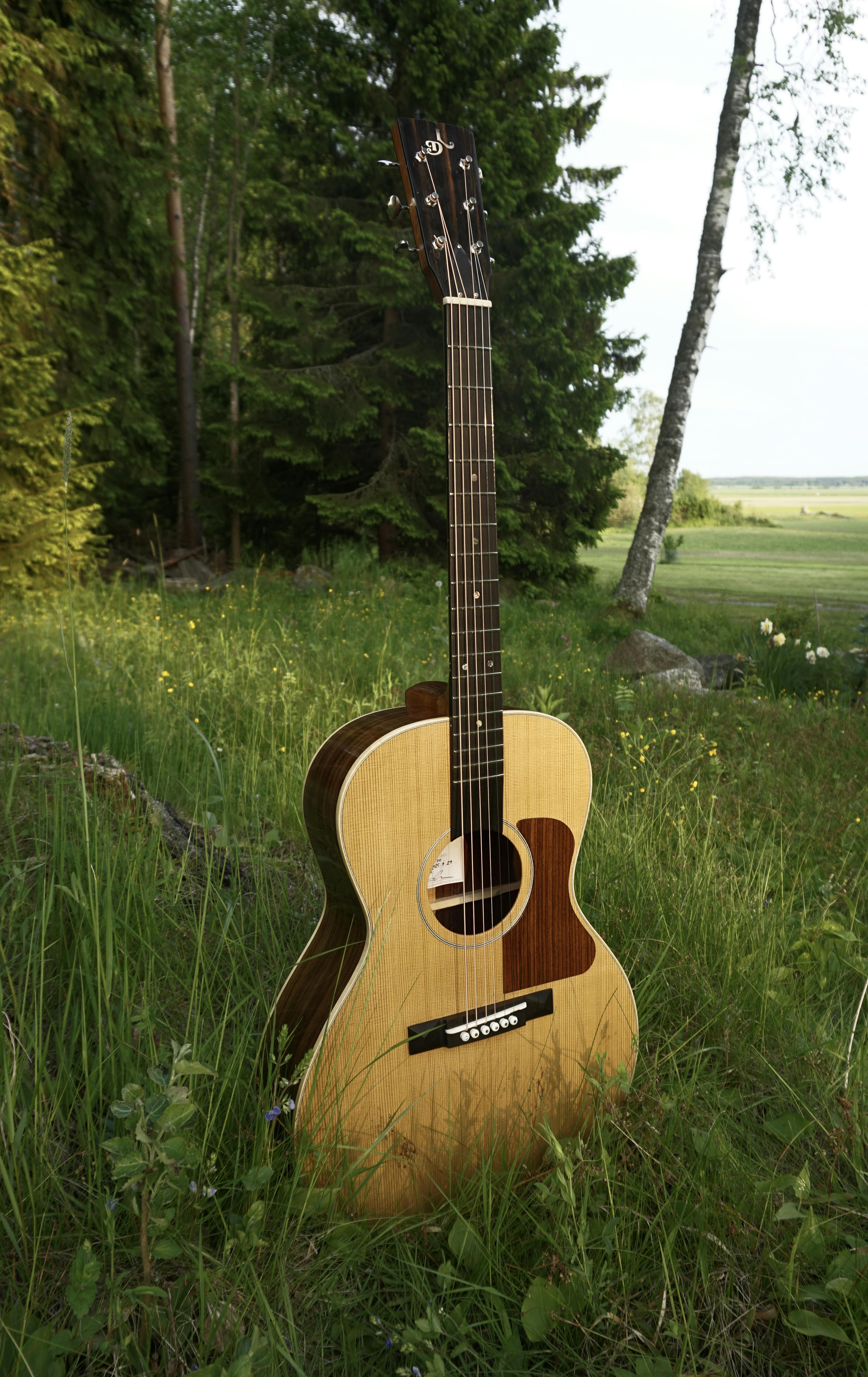 DL Custom Guitars Vaasa Gibson L-00 in the woods