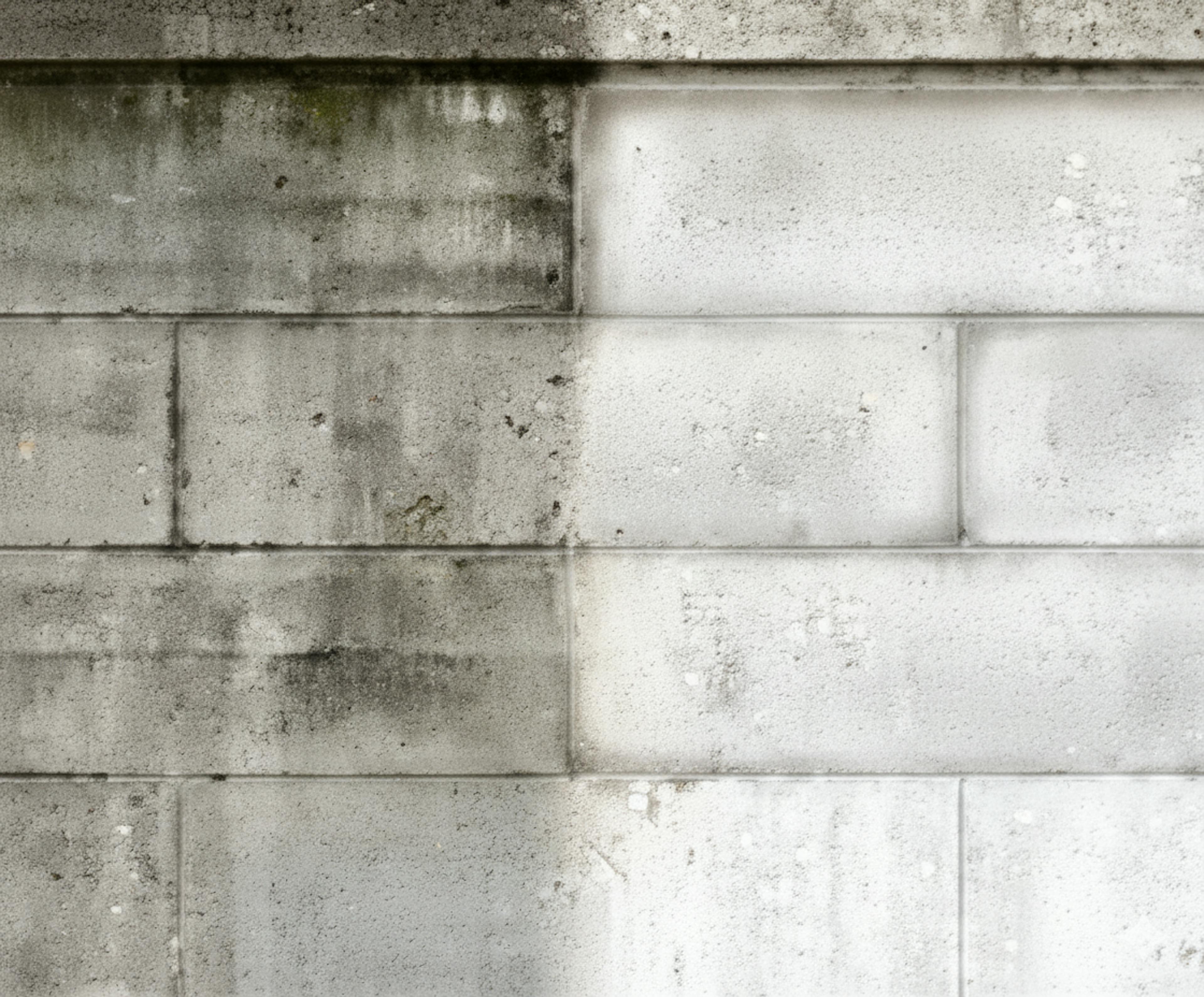 Grid item image