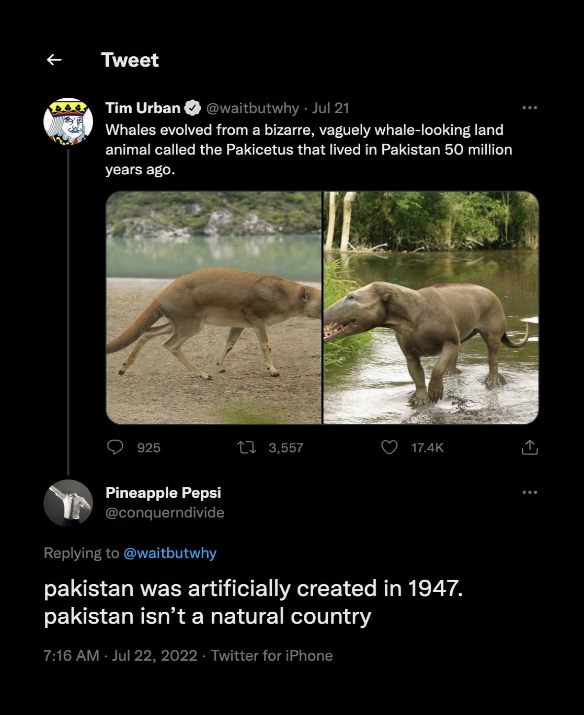 screenshot of tweet saying pakistan was artificially created and is not a natural country