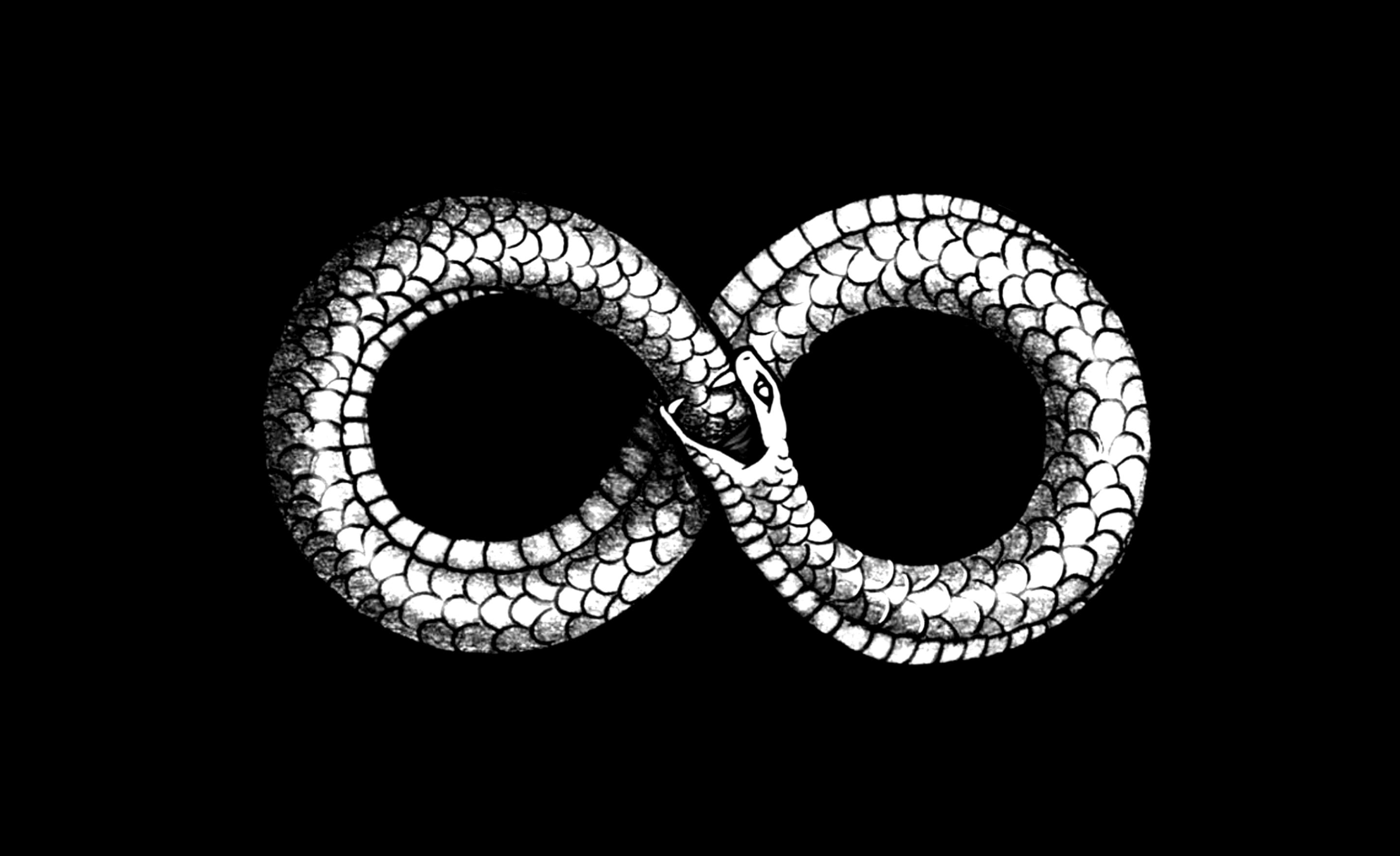 illustration of a snake eating its tail forming an infinite symbol