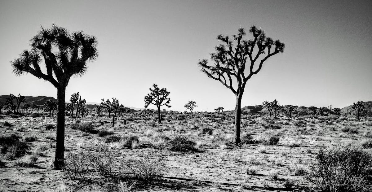 Thumbnail of Why do users prefer certain design? Insights from the landscape theory