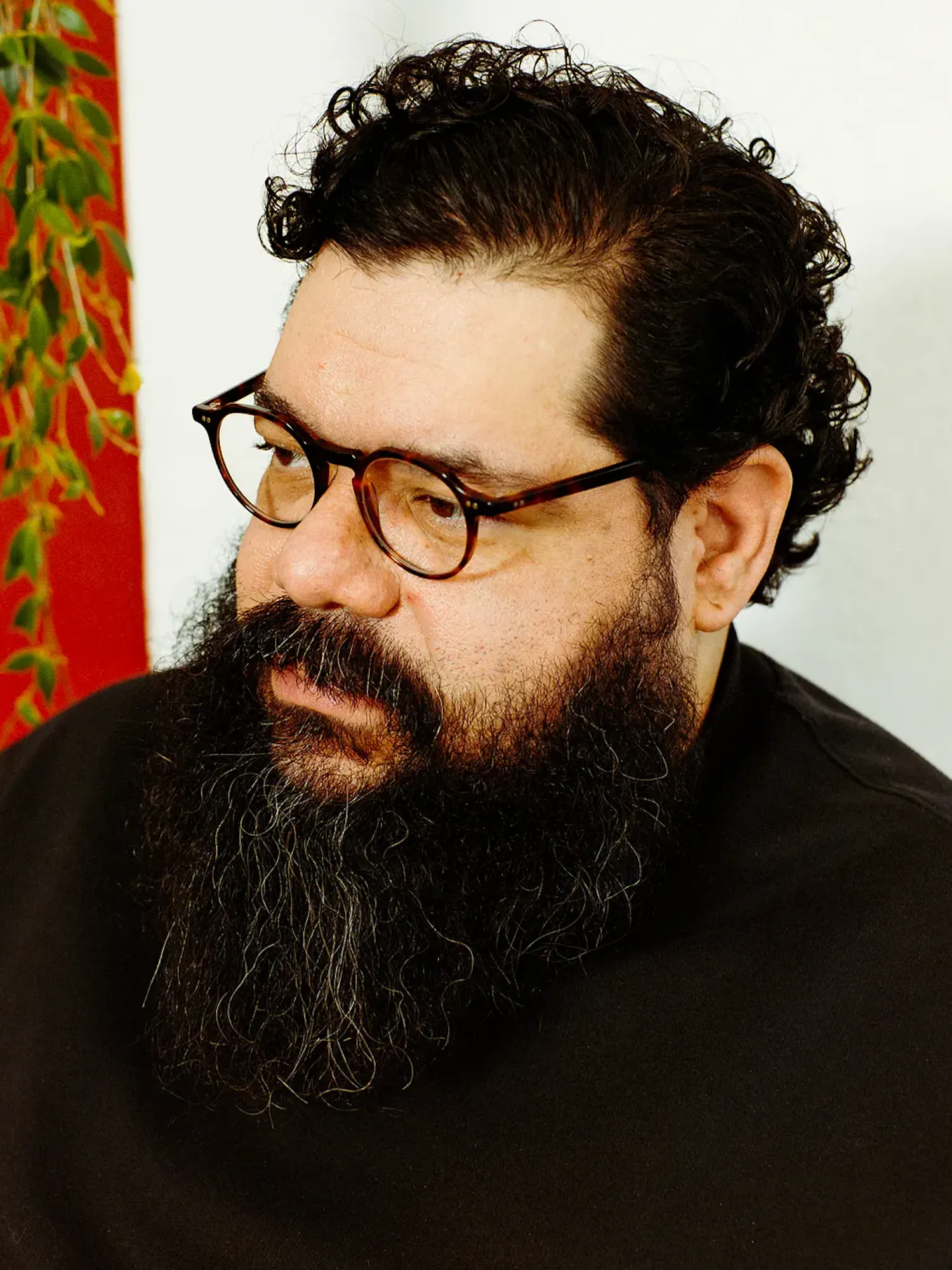 Close-up, angled portrait of a man with short, curly dark hair and a long, full beard. He is wearing round, tortoiseshell-rimmed glasses and a black shirt, looking down and to his left against a white wall with a trailing green plant.