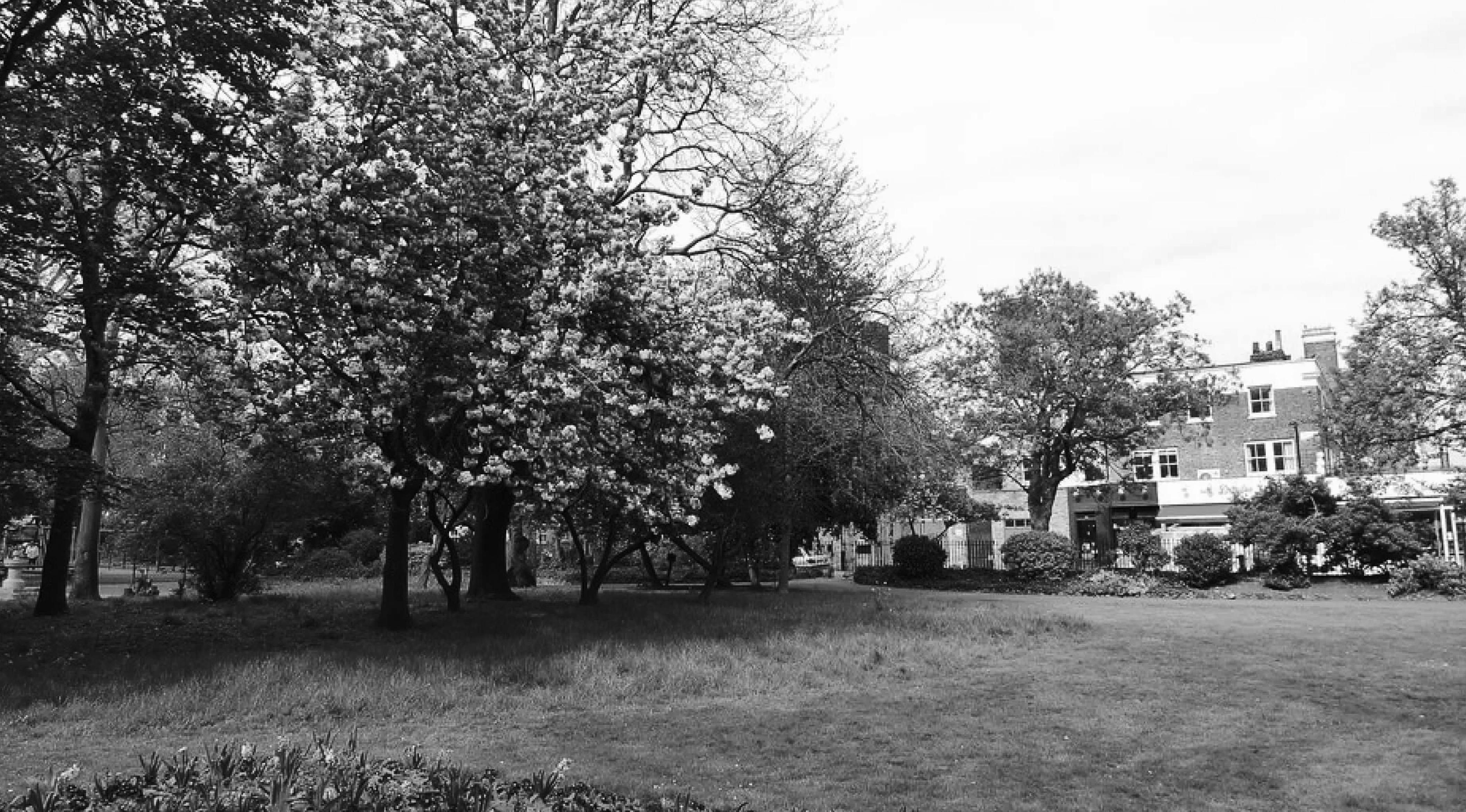 A black and white photo of a grassy area with trees and a building in the background.