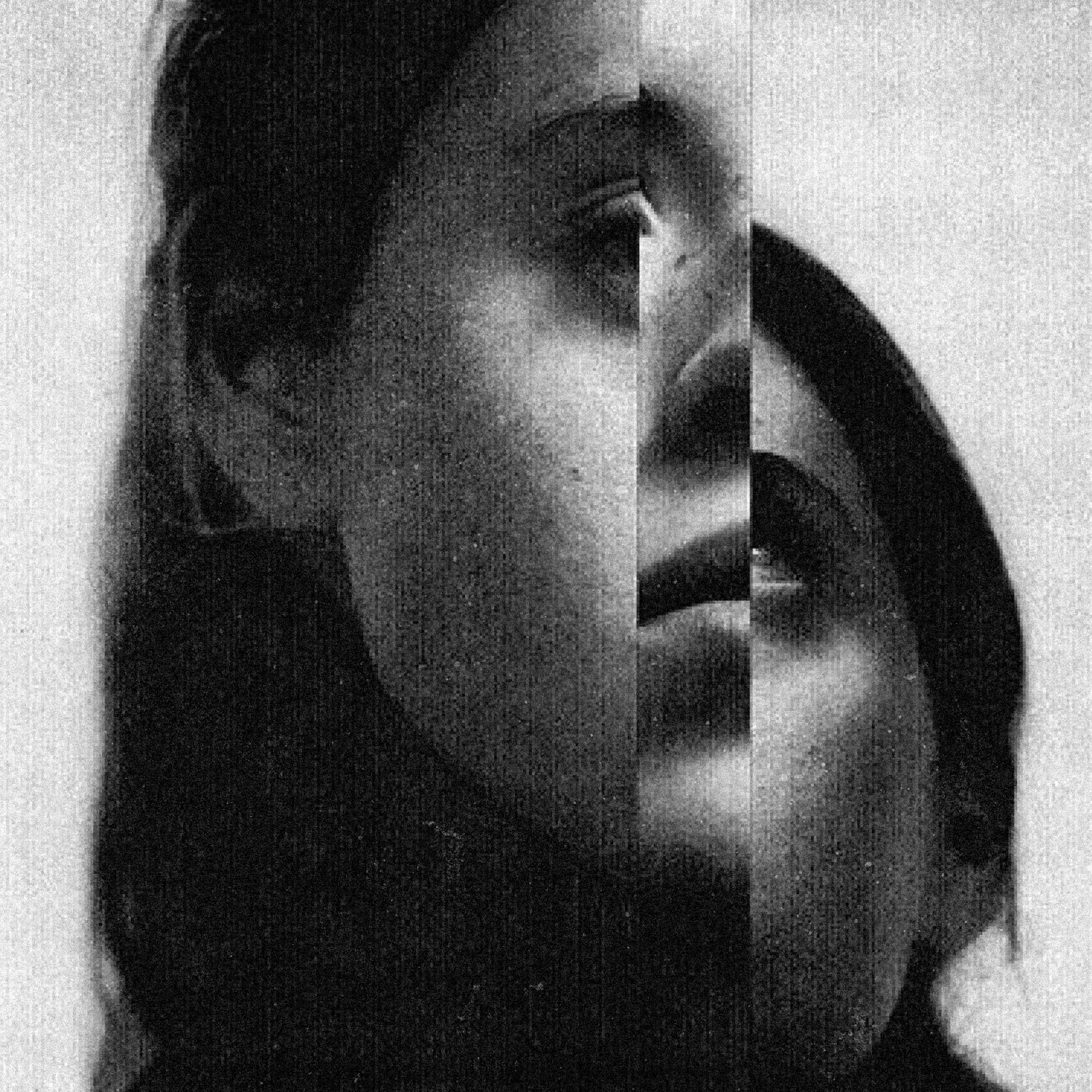 fragmented portrait