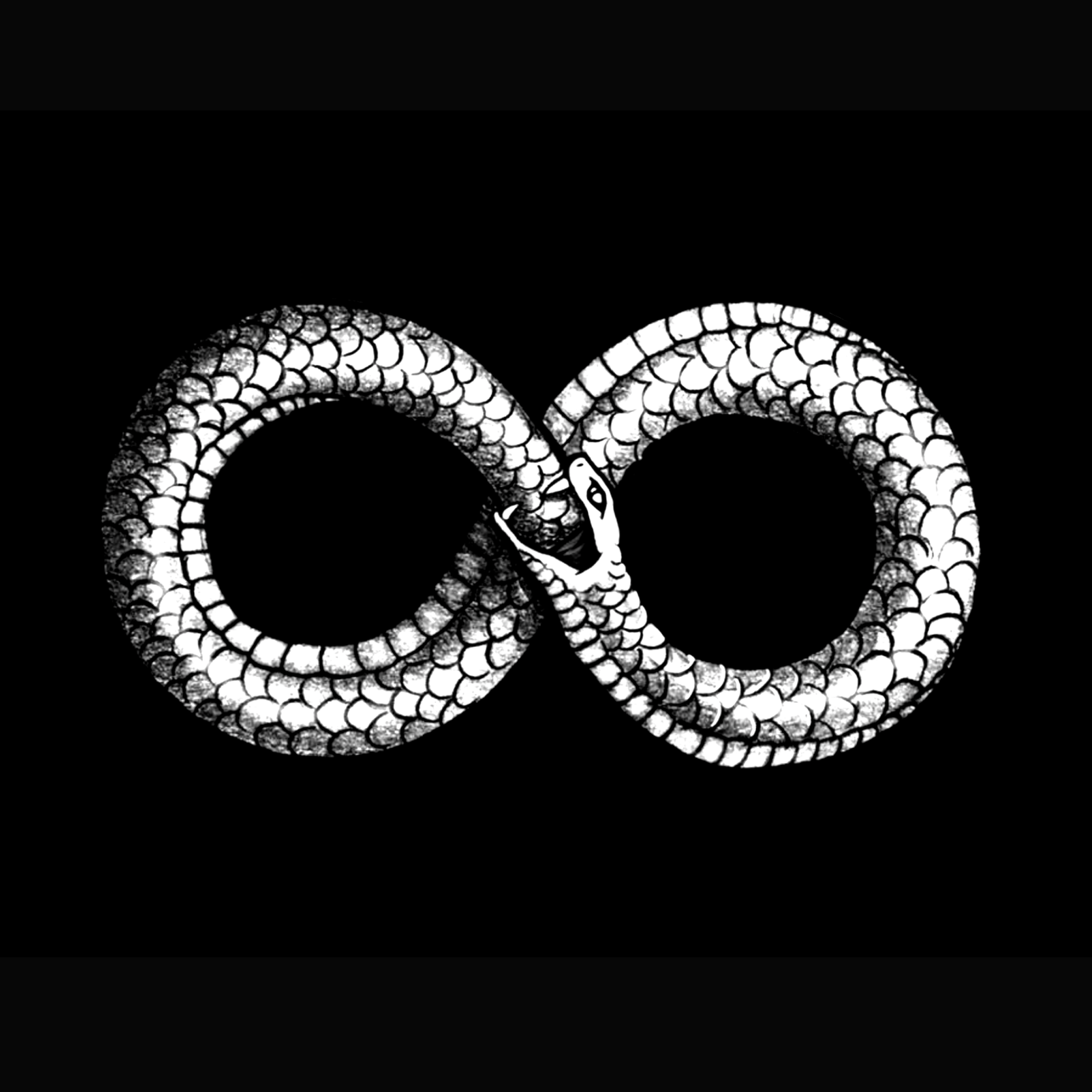 illustration of a snake eating its tail forming an infinite symbol