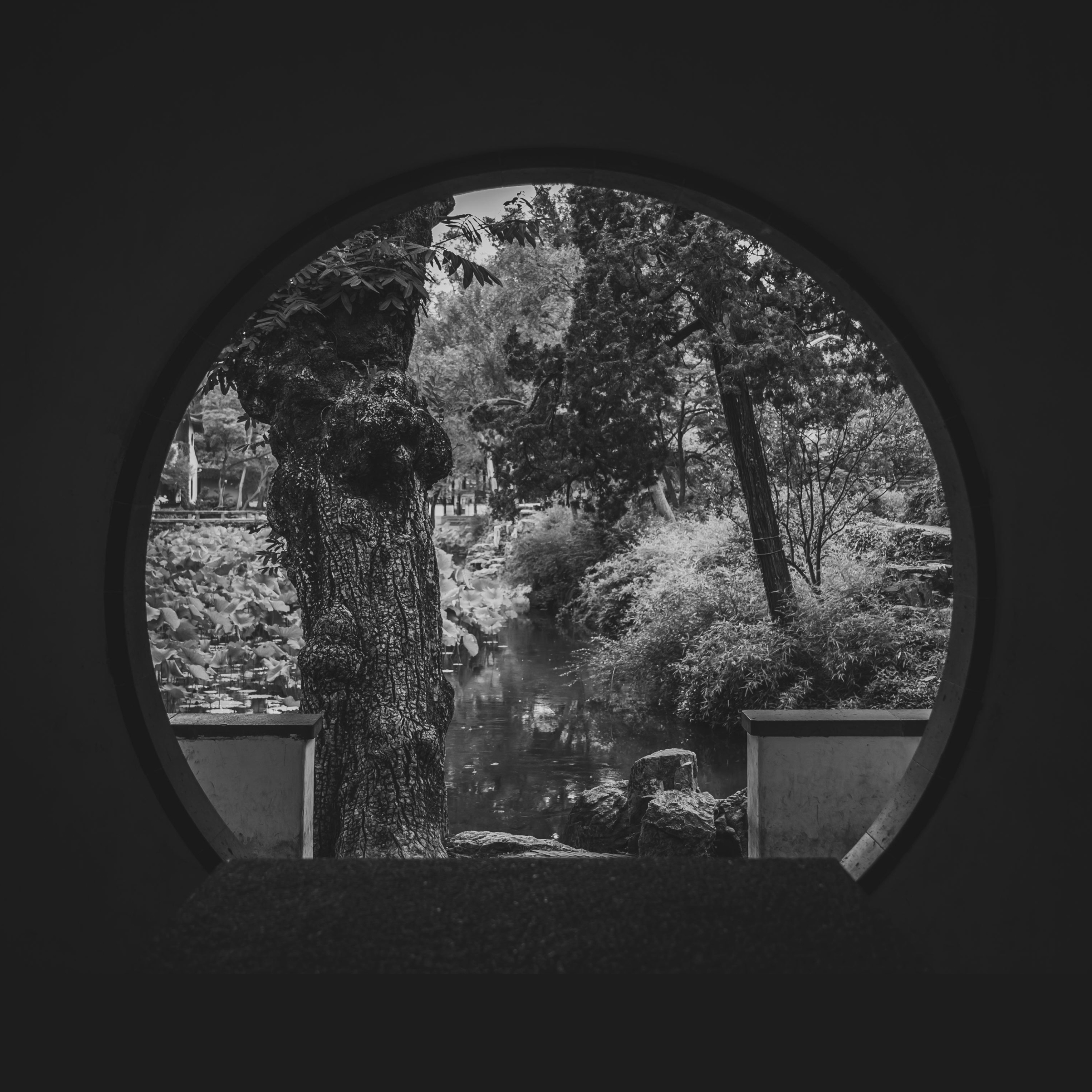 circular window showing a garden