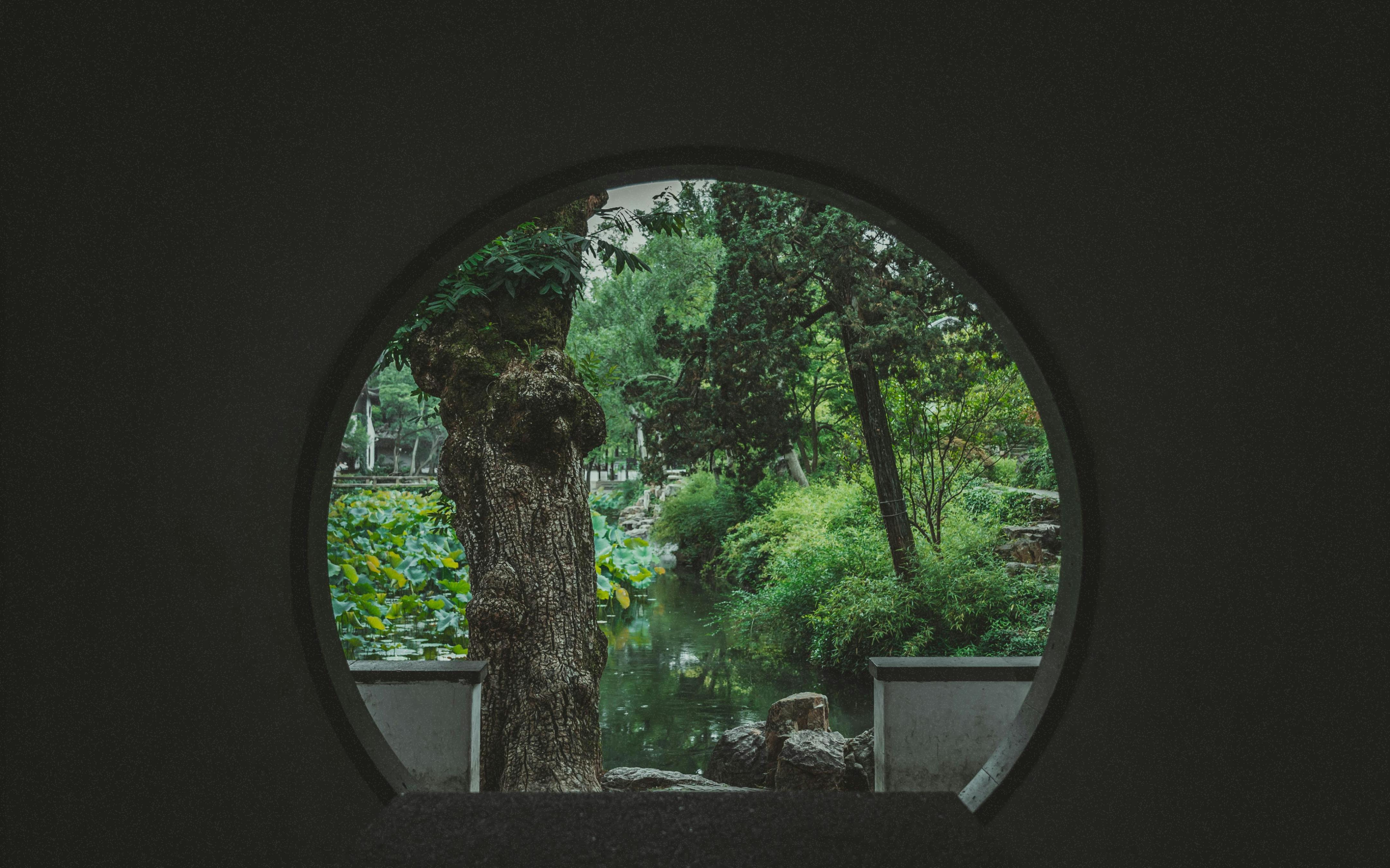 circular window showing a garden